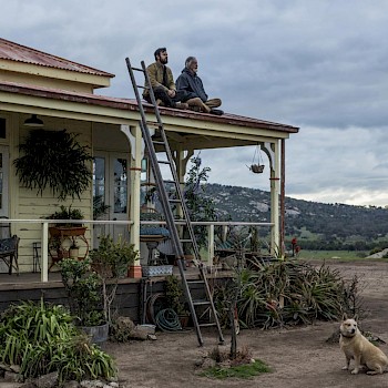 A hátrahagyottak/IMDb